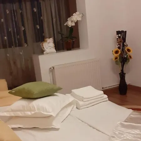 Nico's House *